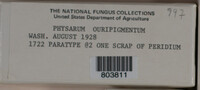 Image Associated With the Occurence
